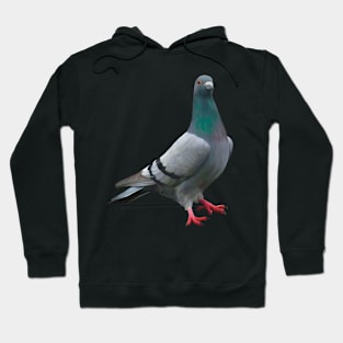 Proud Pigeon illustration. Elegant pigeon art. Bird lover gift. Unique gift Hoodie